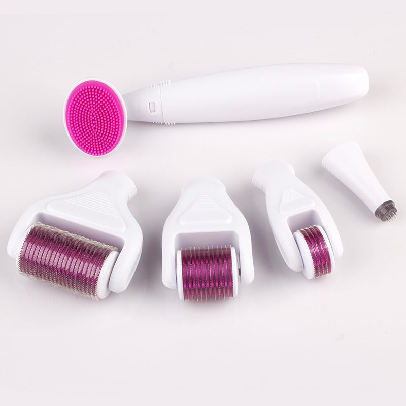 Derma Roller Kit 6-in-1